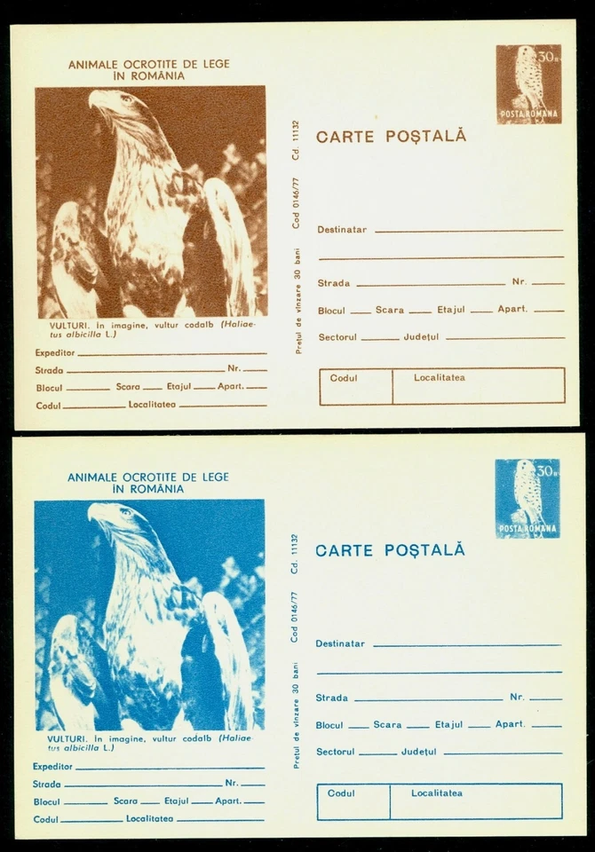 1977 White-tailed eagle,Haliaeetus,Bird,Protect European Fauna,Romania,2 cards - Image 1 of 1
