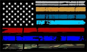 Thin Blue Line Decal Flag Healthcare, EMS, Firefighter, Corrections, NO WORDS - Imagen 1 de 1