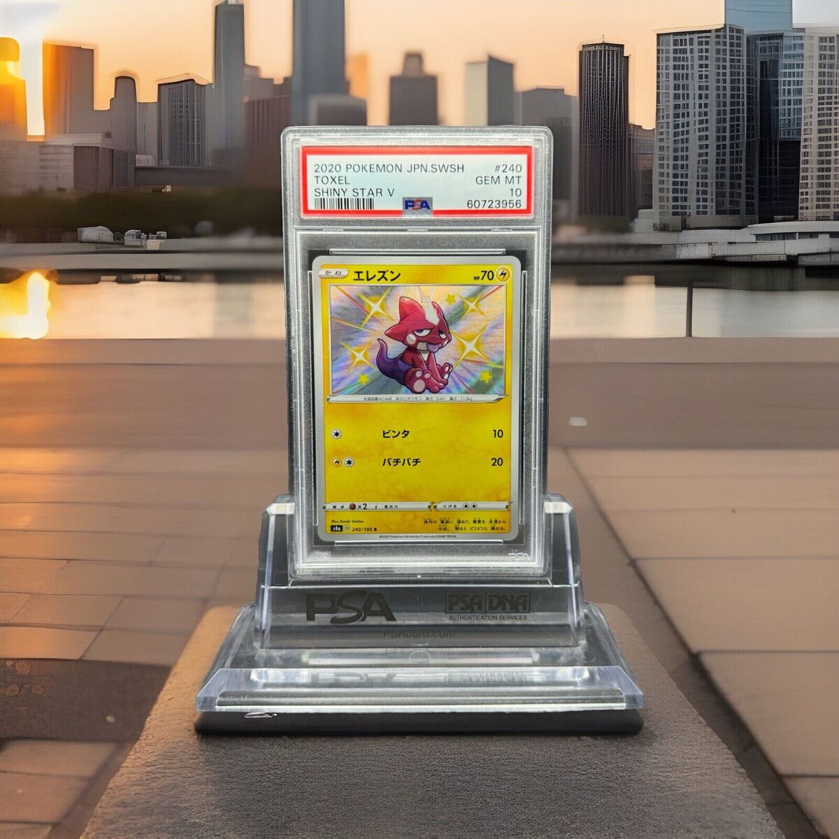 Pokémon TCG Professional Sports Authenticator (PSA Pokémon TCG Professional Sports Authenticator (PSA