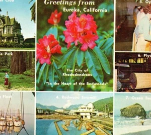 Eureka Kalifornien lokale Attraktion Collage und Besuch Checkliste Vintage Postkarte - Bild 1 von 3