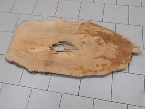 PLATANE PLANTANEN BRETT HOLZ BAUM STAMM BAUMSCHEIBE 1400x690x50mm (B7922) - Bild 1 von 6