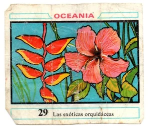 EXOTICAS ORQUIDEAS #29 CROMO OCEANIA 1968 DUNKIN RECUPERADO DE ALBUM - Imagen 1 de 2