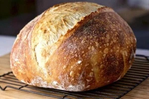 Masa madre deshidratada iniciadora agria orgánica 75+ años de edad Alaska - bolsa de 15 gramos - Imagen 1 de 24