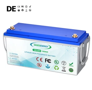 24V 100Ah LiFePO4 Lithium Batterie Solar Wohnmobil Boot Akku BMS 15000+ Zyklen - Afbeelding 1 van 6
