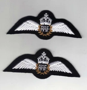 ROYAL AIR FORCE WW2 TYPE PILOTS WINGS IN WHITE - 1 X PADDED/1 X UNPADDED - Picture 1 of 3