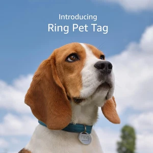 Ring Pet Tag | Easy-To-Use Tag with QR Code | Real-Time Scan Alerts | Shareable - Picture 1 of 12