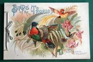 Birds of the Tropics / 1890 - Picture 1 of 6