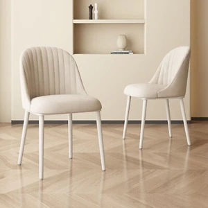Dining Chairs Set of 2 Modern Kitchen Chairs for Dining Room Living Room Chairs - Picture 1 of 8