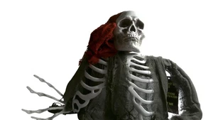 Halloween Hanging Skeleton Pirate Prop Decoration Spooky Scary - Picture 1 of 3