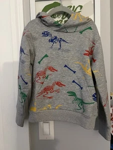 Kids’ Dinosaur Sweatshirt/Hoodie; Size 110/5 - Picture 1 of 3