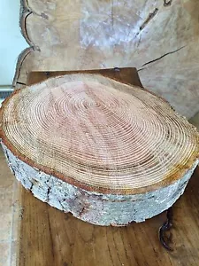 Soporte para pastel de bodas de madera de 12"" - 14"", forma encantadora rebanada de tronco rústico pieza central - Imagen 1 de 8