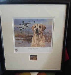 Framed ILLINOIS 2001 STATE DUCK STAMP PRINT Yellow Lab by Jim James Killen - Picture 1 of 8