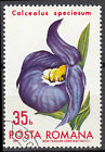 Rumänien Briefmarke gestempelt Frauenschuh Blume Pflanze Flora Natur / 232