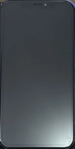 Apple iPhone XR A1984 64GB Black Fully Unlocked FOR PARTS ONLY/NOT WORKING - Zdjęcie 1 z 4