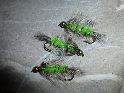 3 St.Goldkopf MAGIC-TROUTER # 6 Bach-Regenbogen-Forelle Forellensee Put & Take