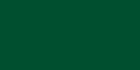 Signature 40 coton couleurs unies 700yd vert houx