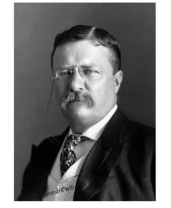 FOTO 1904 Theodore Teddy Roosevelt retrato del presidente de Estados Unidos - Imagen 1 de 2
