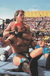 Shawn Michaels vs Tatanka 1999 Wrestle Mania Photo Card #15 - Picture 1 of 1