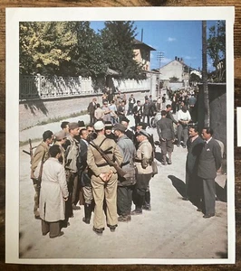 Book Clipping Photo German Surrender 1st Armored Division Italy May 1945 - Picture 1 of 2