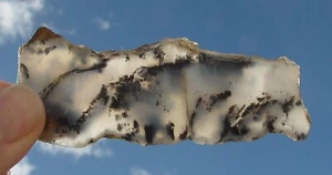 Losa lapidaria de ágata dendrítica T1120 - Imagen 1 de 9