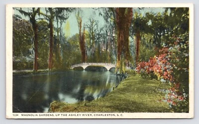 Magnolia Garden Bridge Ashley River Charleston South Carolina SC 1920s Postcard - Image 1 of 2