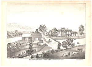 BLUE STONE FARM, TIOGA CO, NY.VTG 1879 11,7" x 8,3" LITHO DRUCK - Bild 1 von 1