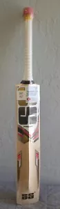 SS Super Six (Kashmir Willow) Cricket Bat - Picture 1 of 5