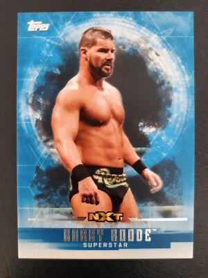 2017 Topps WWE Undisputed Superstar NXT #44 BOBBY ROODE - Image 1 of 2
