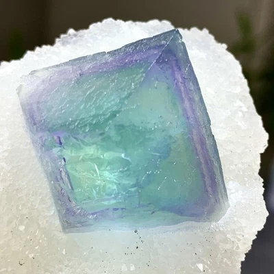 206G Natural Morado Verde Octaédrico Fluorita y Cristal Simbiosis Mineral Foto 1 de 4