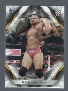 2019 Topps WWE Undisputed Wrestling Base & Portrait Singles (Pick Your Cards)
