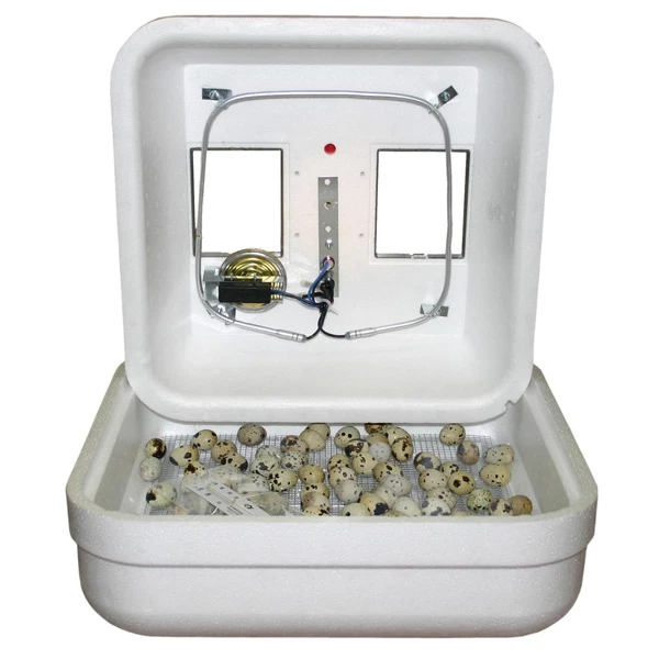 NUEVO GQF 1602N - Incubadora Aire Térmico Hova-Bator Mejor Huevos de Pollo para incubar EE. UU. Foto 1 de 1