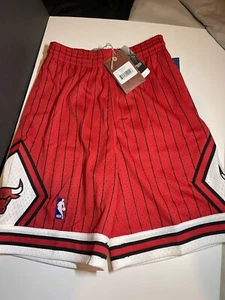 Größe Large Kinder Mitchell and Ness Chicago Bulls Basketball Shorts Jugend neu ca L - Bild 1 von 7