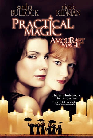Practical Magic (DVD, 2009, Canadian French) - Image 1 of 1