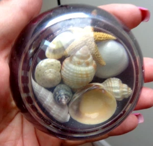 VINTAGE HANDGEFERTIGTER MUSCHEL BRIEFBESCHWERER RUND GLAS - MUSCHELN UNTER GLAS - Bild 1 von 4