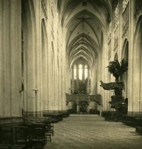 Belgien Löwen Löwen St. Peter Kirche Innenraum alt NPG Stereoview Foto 1900er - Bild 1 von 3