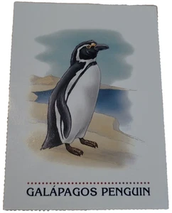 1994 Scholastic Trading Card Galapagos Penguin (H7 - Picture 1 of 2