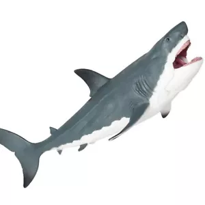 Megalodon Model Marine Animal Toy Action Figure Collector Kids Decor Shark Gift - Picture 1 of 5