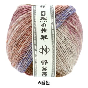 NORO Yarn Autumn/Winter Wool “Rittou No.6 Color” From Japan - Picture 1 of 3