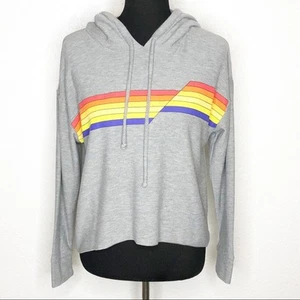 Chaser gray hooded pullover sweatshirt rainbow stripe front size Medium - Picture 1 of 14