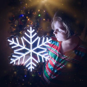 LED Snowflake Neon Light Sign with Dimmer Christmas Kids Room Art Wall Hanging - Picture 1 of 8
