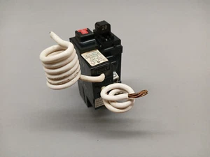 Pushmatic P120GF 20 Ampere 1-polig GFCI Leitungsschutzschalter ITE GFI Erdschluss 120V - Bild 1 von 6