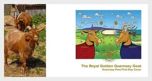 guernsey 2025 Royal Golden Goat Billy and Nanny golden skin hair ms2v FDC PJ - Picture 1 of 1