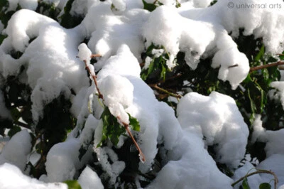 MARIO STRACK - A Warm Shelter 3  limitiert Fotografie Original sign. Stilleben - Bild 1 von 3