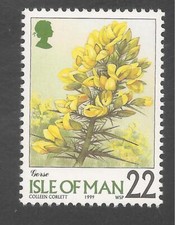 Isle Of Man #799 (A177) VF MNH - 1998-99 22p Gorse Flower