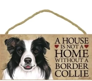 Schild Geschenk Holzschild Hundeschild Border Collie Türschild - Bild 1 von 2