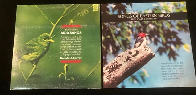 Common Bird Songs  AND  Songs Of Eastern Birds Donald Borror - 2 LP NM/EX Foto 1 de 3