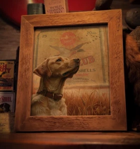 Vintage gelber Lab Kunstdruck Remington Schrotflinte Shell Box Ente Jagd Kunstwerk - Bild 1 von 7