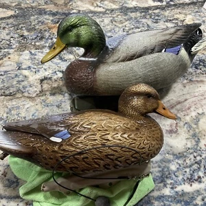Mallard Duck decoys for hunting HD Gunners Final Approach Pair Of 2 Male Female - Picture 1 of 9