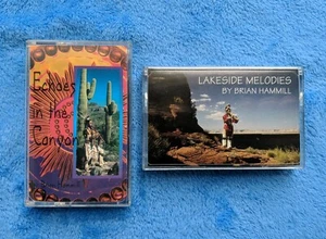 BRIAN HAMMILL 2 Cassette Tape Lot Native American Music Lakeside Memories - Picture 1 of 3