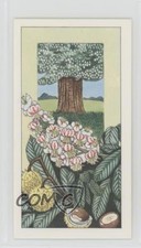 1968 Ringtons Fruits of Trees and Shrubs Tea Horse Chestnut #1 z6d
